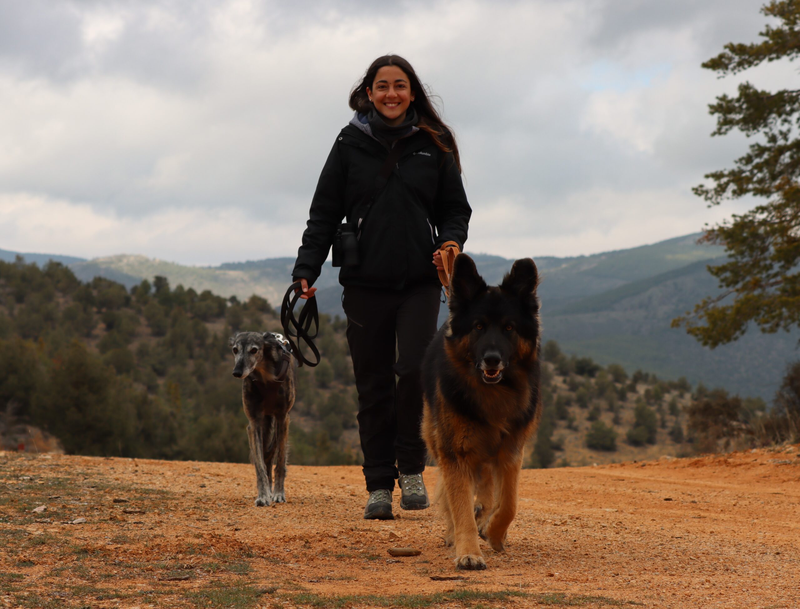 Alicia cursos para adiestrar y cuidar perros